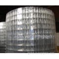 Welded Wire Mesh Welded mesh square hole Factory